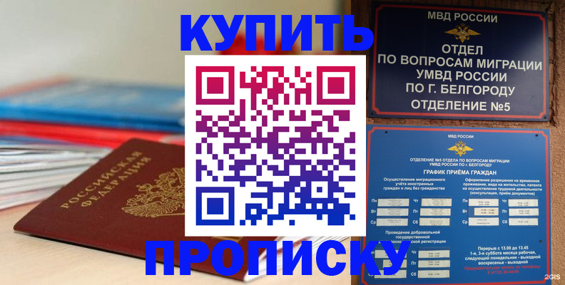 прописка для работы в Михайловске